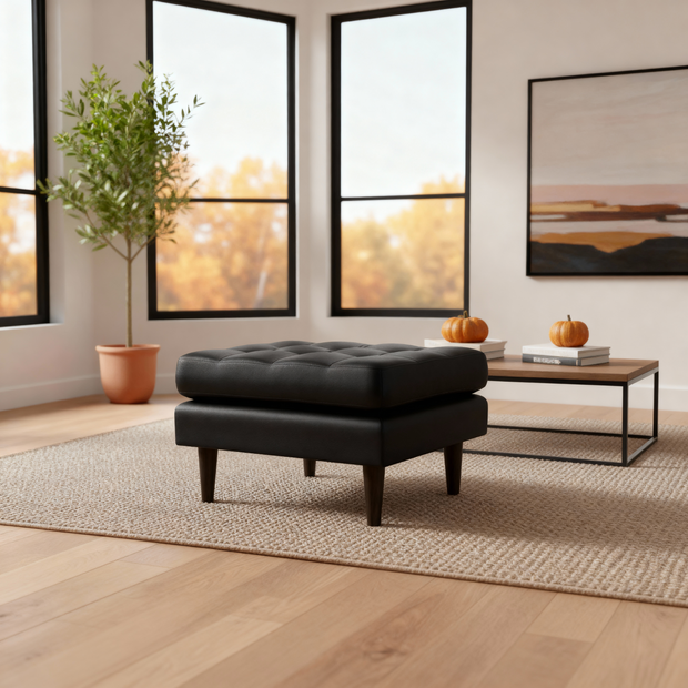 Ayden Leather Ottoman