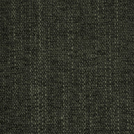 Curious Evergreen fabric swatch