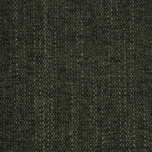 Curious Evergreen fabric swatch