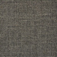 Curious Charcoal fabric swatch