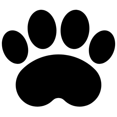 Pet-Friendly & Easy to Maintain